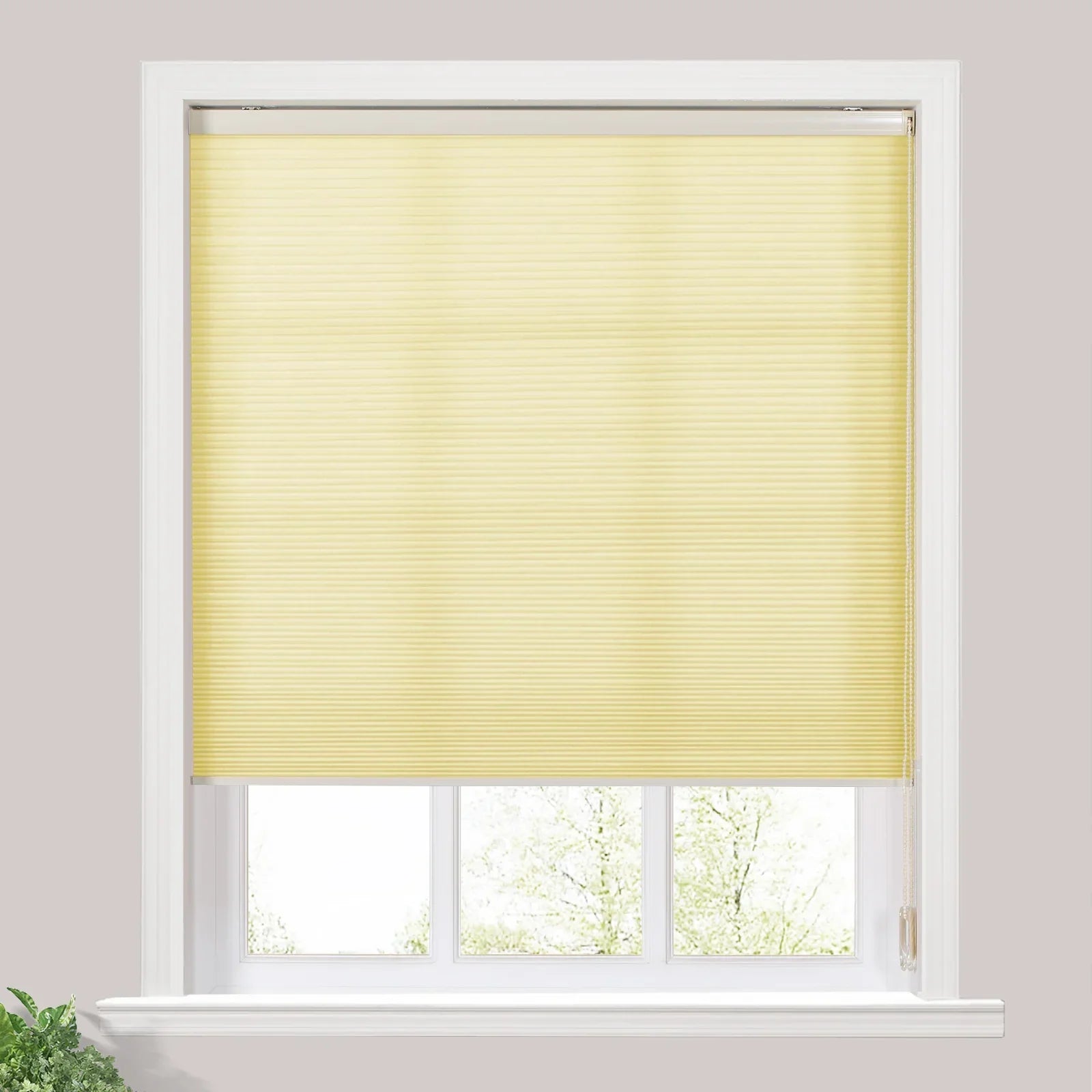 Priya Light Filtering Cellular Shades Cord Lift