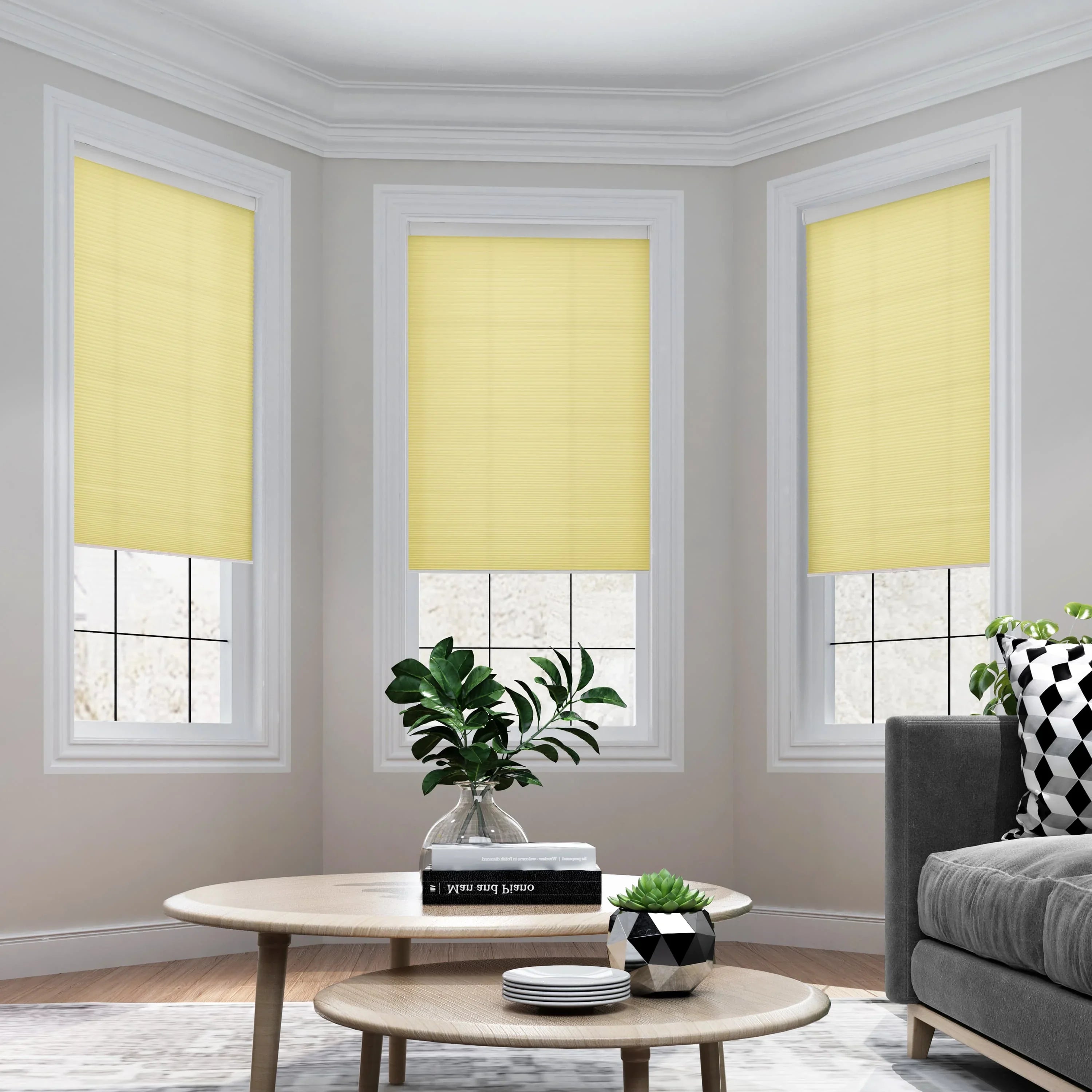 Priya Light Filtering Cellular Shades Cordless