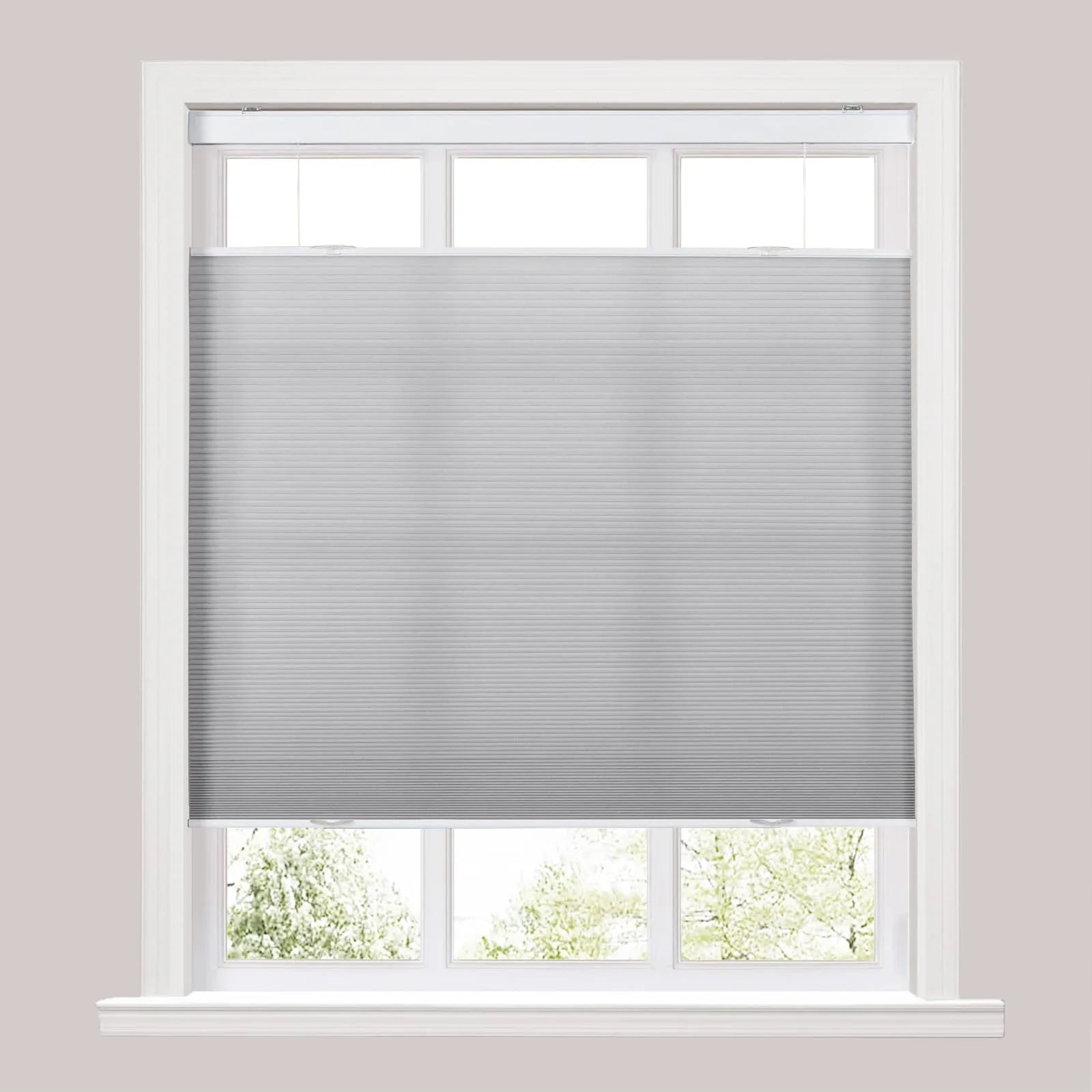 Silvia Top Down Bottom Up Light Filtering Cellular Shades Cordless