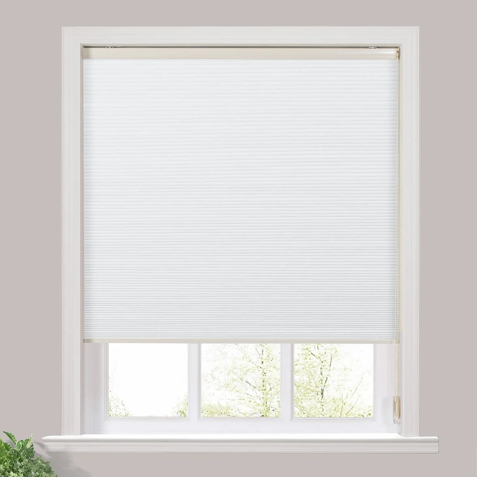 Paola Blackout Cellular Shade Honeycomb Shade Cord Lift SLIDINGCURTAIN