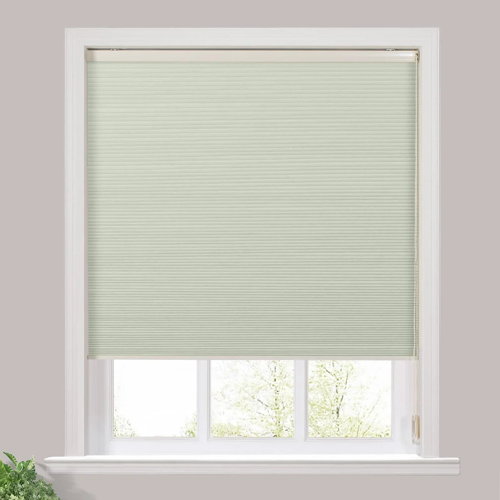 Paola Blackout Cellular Shade Honeycomb Shade Cord Lift SLIDINGCURTAIN