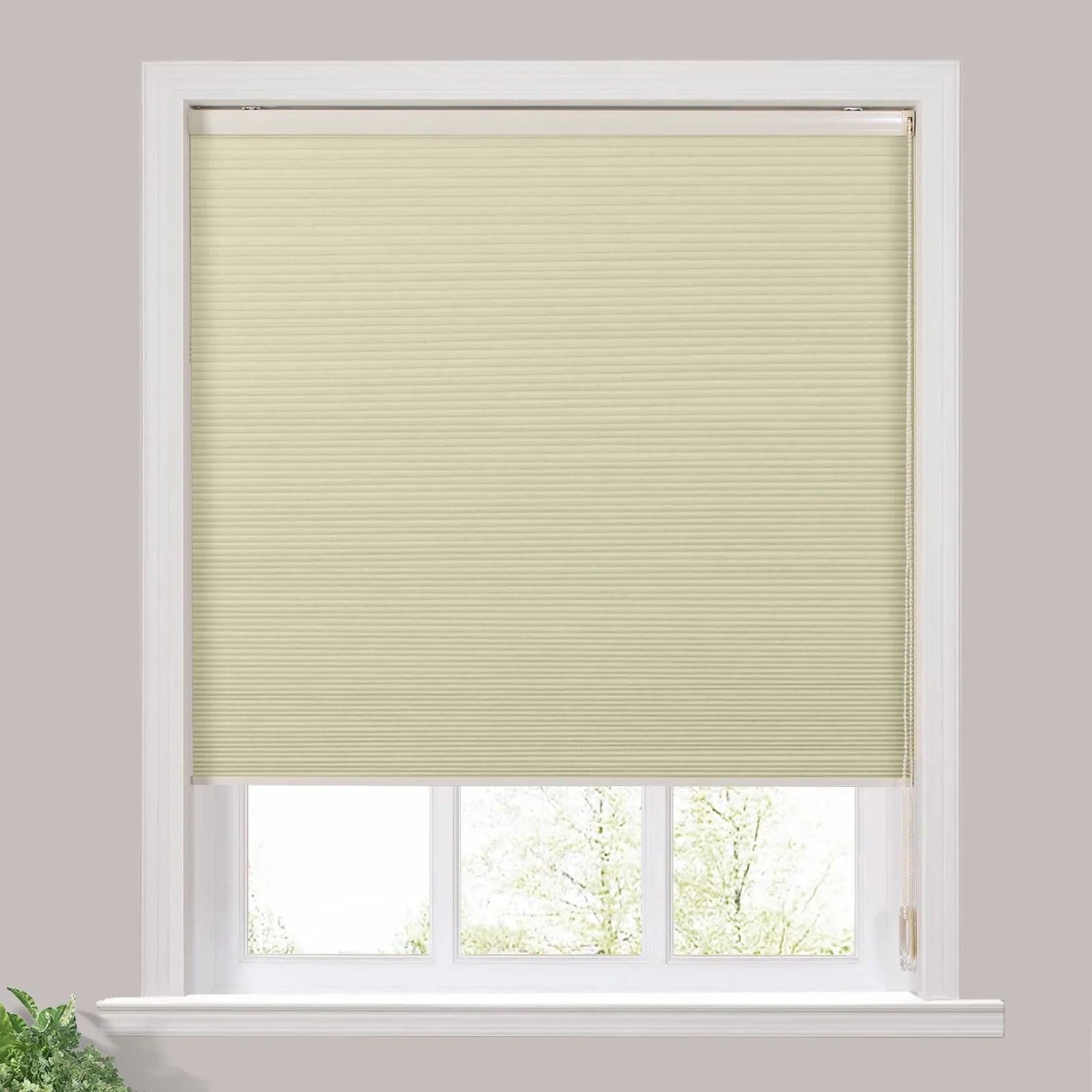 Paris Blackout Cellular Window Shades Cord Lift