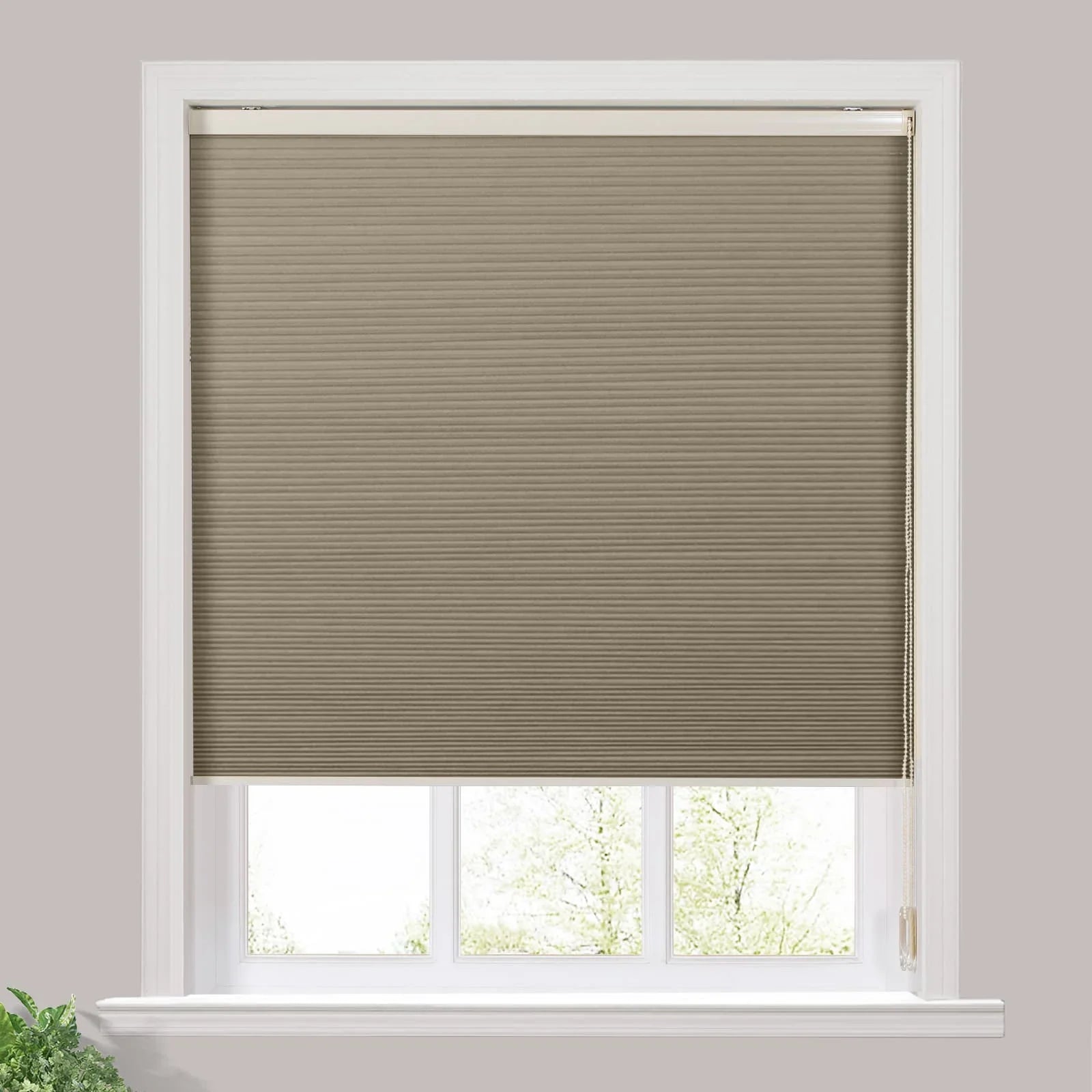 Paola Blackout Cellular Shade Honeycomb Shade Cord Lift SLIDINGCURTAIN