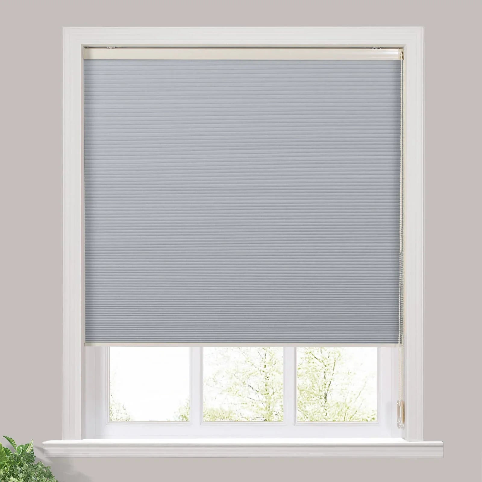 Paola Blackout Cellular Shade Honeycomb Shade Cord Lift SLIDINGCURTAIN