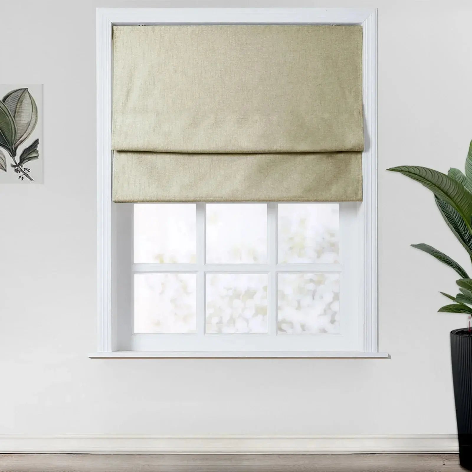 Birkin Velvet Roman Shades for Windows