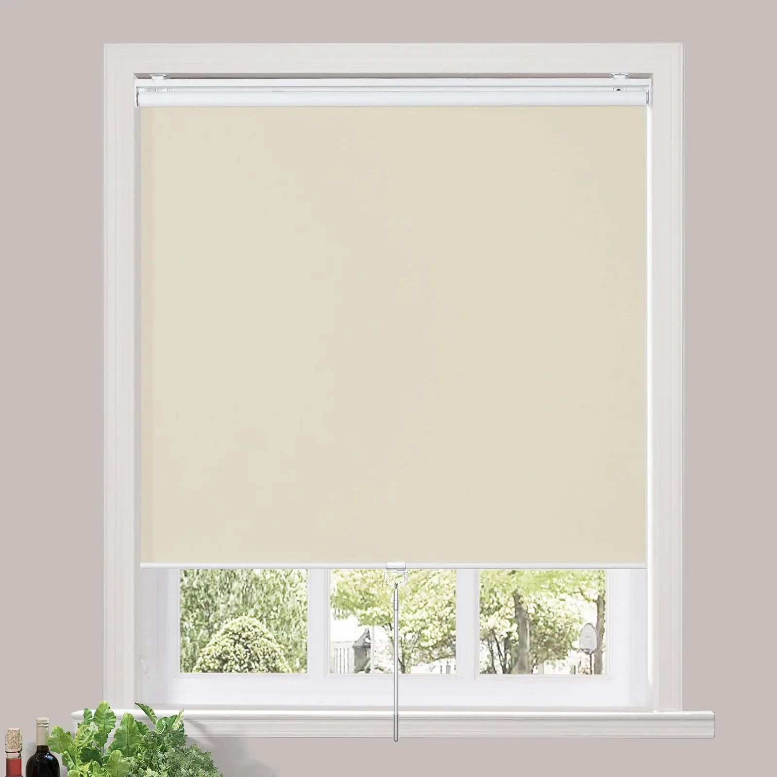 Thomas Blackout Waterproof Cordless Roller Blinds