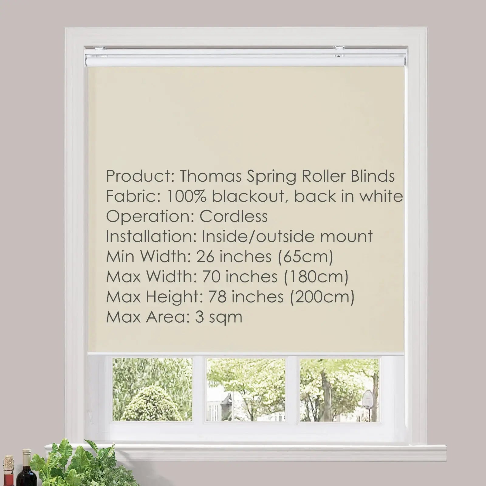 Thomas Blackout Waterproof Cordless Roller Blinds