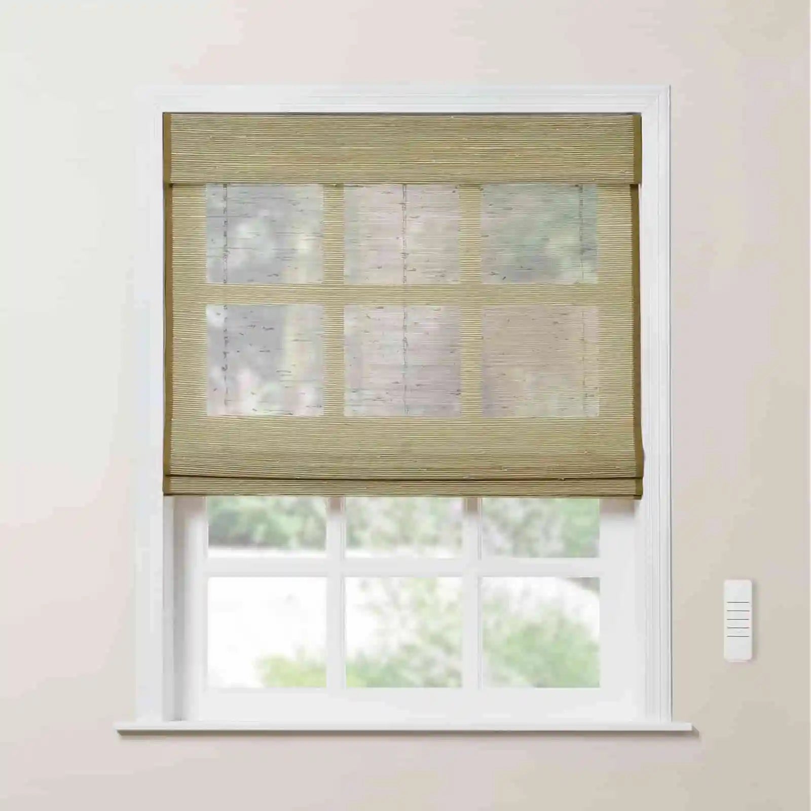 Rae Motorized Window Shades Bamboo Woven - Series P