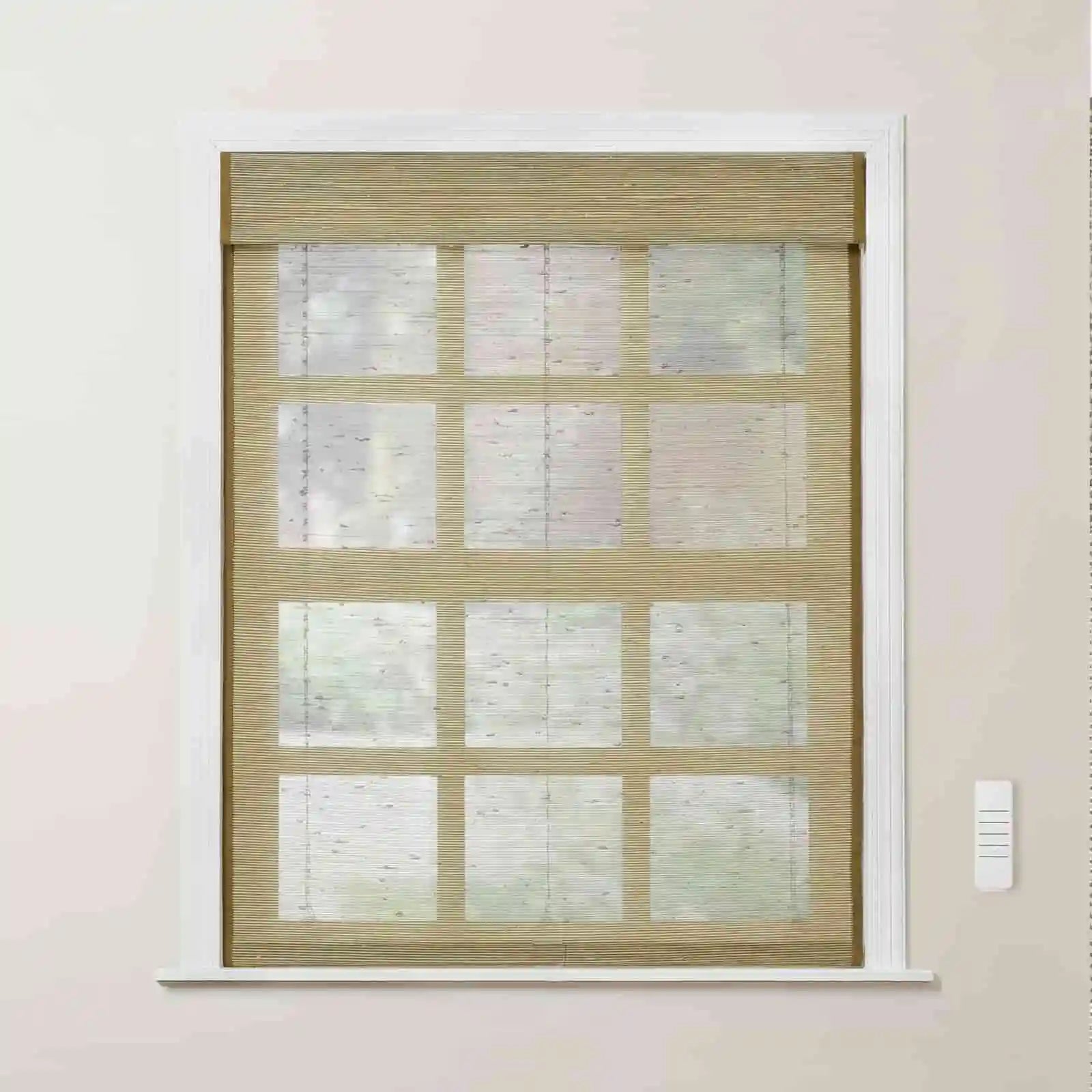 Rae Motorized Window Shades Bamboo Woven - Series P